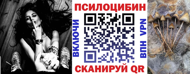 закладки  Орехово-Зуево  Псилоцибиновые грибы Magic Shrooms 
